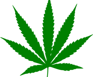 Should Georgia Legalize Recreational Marijuana?